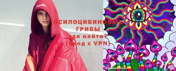 spice Карпинск