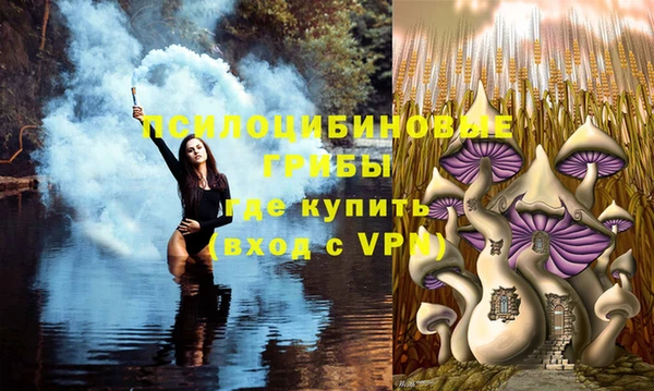 соль курить ск Касимов
