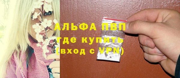 spice Карпинск