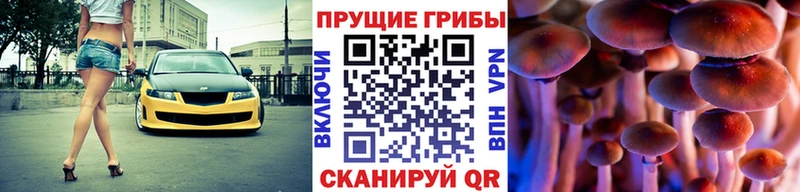 Купить закладки  Бор  Псилоцибиновые грибы мицелий 